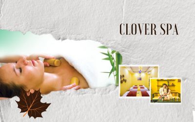 massage-ong-tre-clover-spa-nha-trang