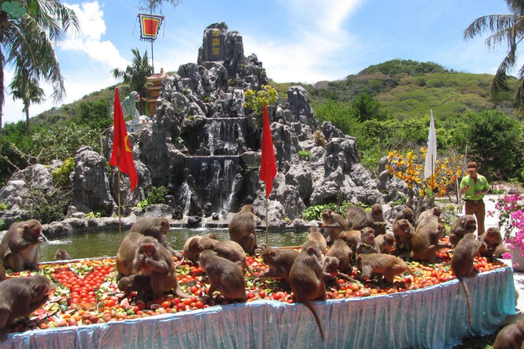 dao khi nha trang