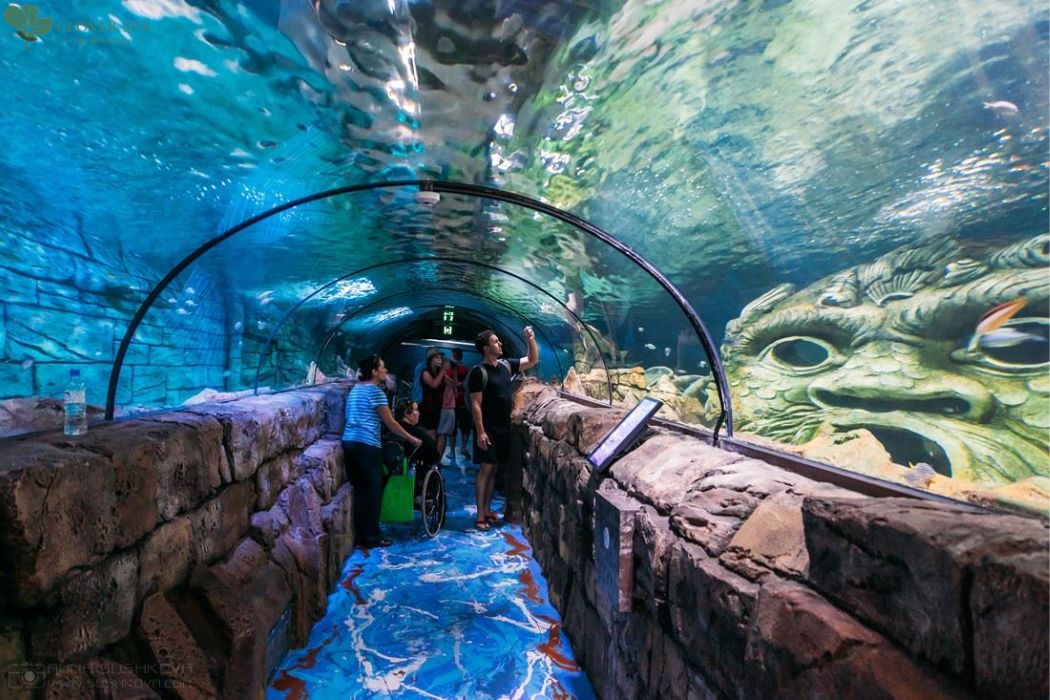 vien hai duong hoc nha trang